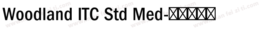 Woodland ITC Std Med字体转换